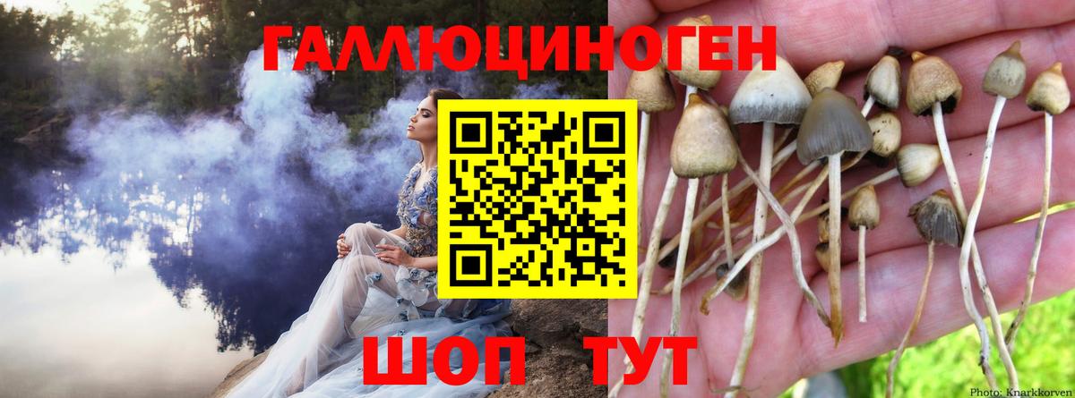 Галлюциногенные грибы GOLDEN TEACHER Саранск