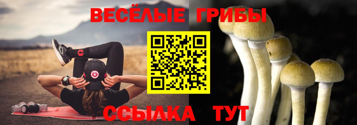 Псилоцибиновые грибы MAGIC MUSHROOMS  Псилоцибиновые грибы мухоморы  Вход с VPN  Саранск 